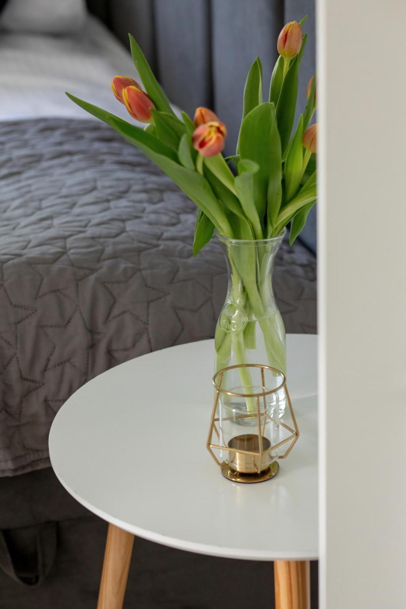 Apartamenty Astra By Solarento